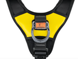 ASTRO® BOD FAST International Version (Fall arrest harness）